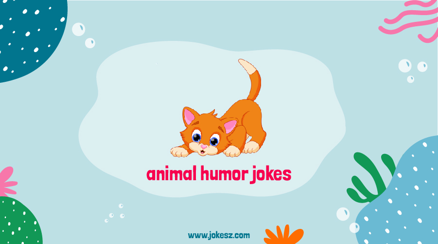 Best Animal Humor