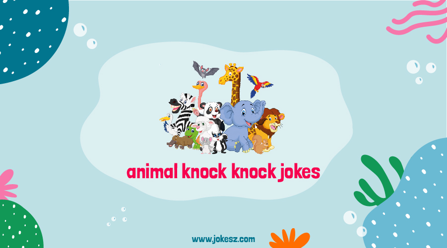 Best Animal Knock Knock Jokes