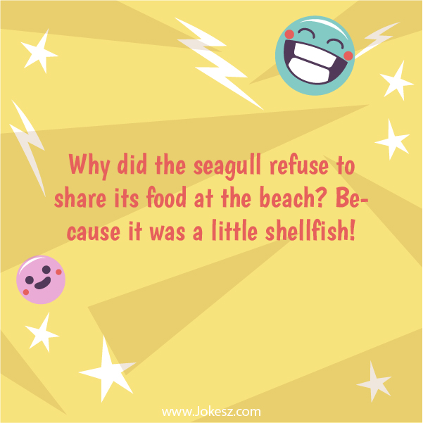 Best Beach Jokes