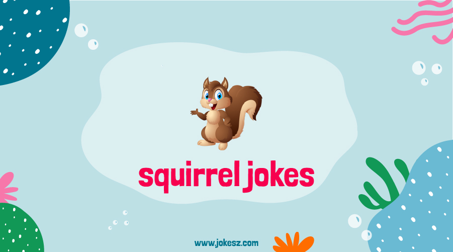 Best Squirrel Jokes