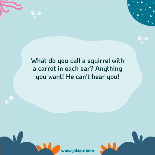 Cute squirrel jokes