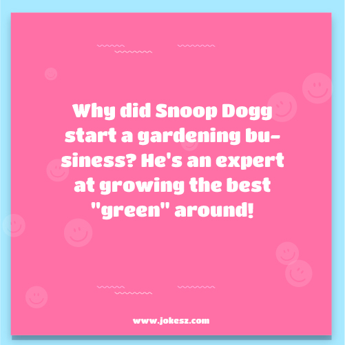Funny Jokes About Snoop Dogg