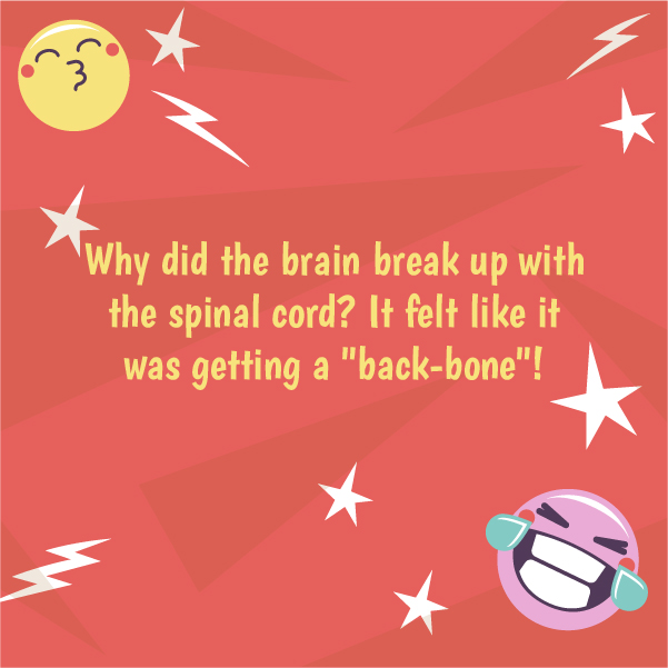 Funny Jokes about Brain