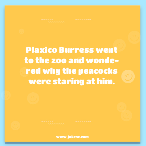 Jokes About Plaxico Burress
