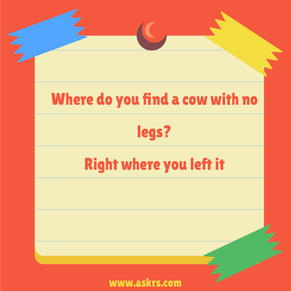 Funny Jokes about Cow with No Legs
